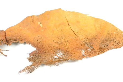 Kora palmy naturalna