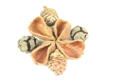 Susz- zestaw dekoracyjny z 5 elementów