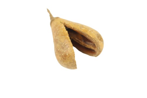 Beznzo fruit