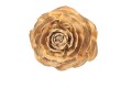 Cedar rose