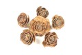 Cedar rose- różnice w wielkości