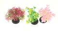 Zestaw 3 małych roślinek nr 2