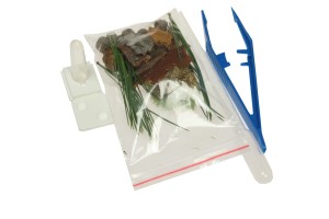 Niezbędnik początkującego hodowcy mrówek