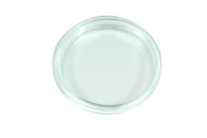 Szalka Petriego  szklana średnica 90 mm / wys.15 mm