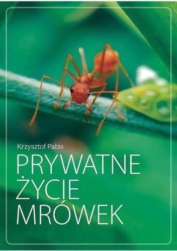 Książka " Prywatne życie mrówek" Krzysztof Pabis