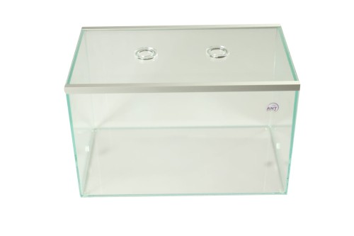 Arena Max do hodowli mrówek w domu