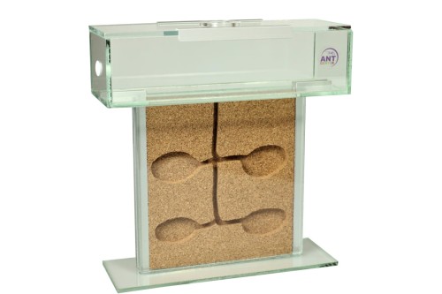 Formikarium korkowe TOWER w kształcie litery T