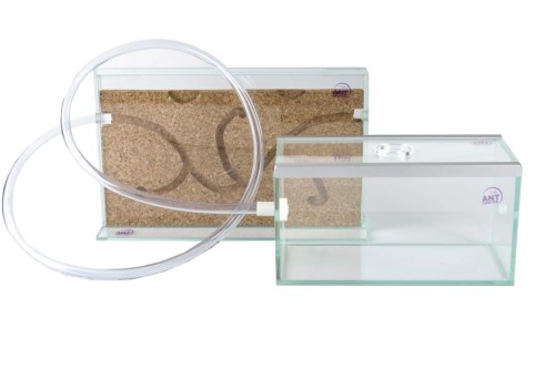 Zestaw: Sandwich korkowy średni plus Arena mała