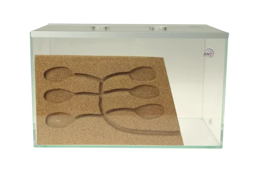 Formikarium dla mrówek Brand Max