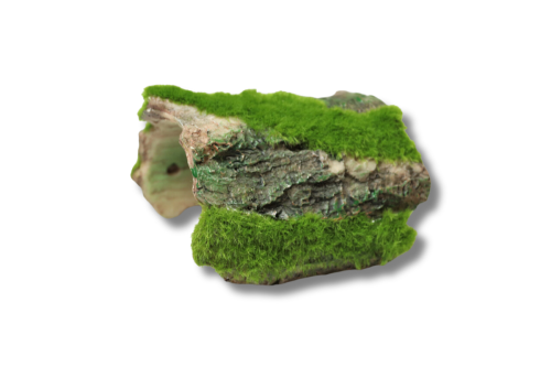 Ozdoba do formikarium nr 51- kryjówka