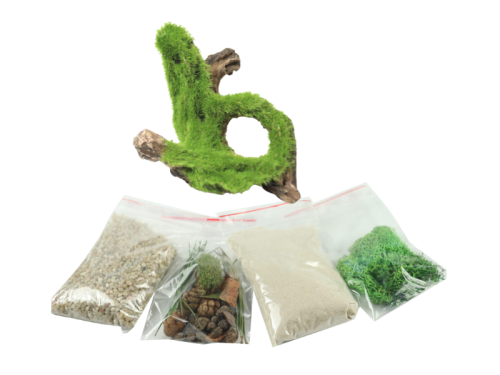 Zestaw ozdób do formikarium z omszonym korzeniem