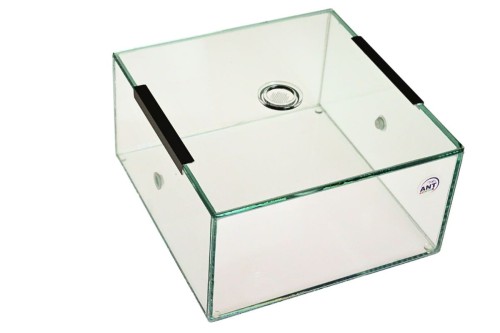 Arena 20*20*10 do hodowli mrówek w domu