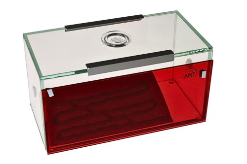 Formikarium korkowe Brand z czerwoną pokrywą ochronną