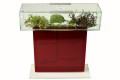 Formikarium Tower Max z czerwoną pokrywą