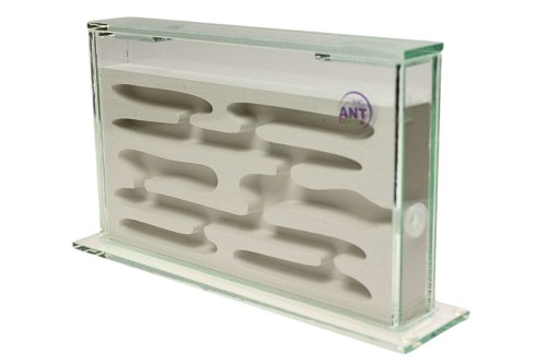 Gniazdo do hodowli mrówek Sandwich gips