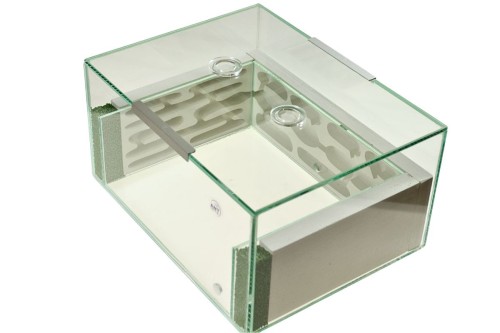 Formikarium gipsowe Amfiteatr