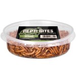 Larwy mącznika młynarka 125 ml (Mealworms)