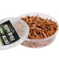Larwy mącznika młynarka 125 ml (Mealworms)