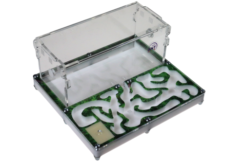Formikarium do hodowli mrówek Green House II