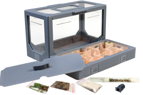 Zestaw do hodowli mrówek nr 2 z mrówkami