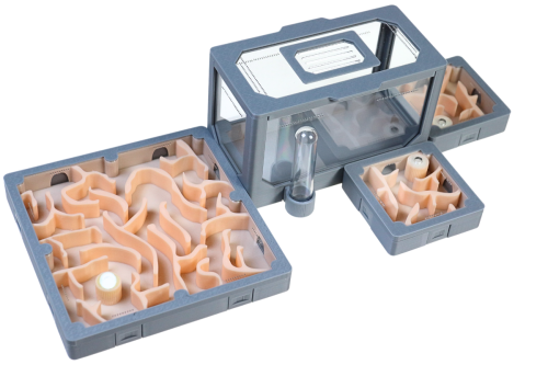 Zestaw nr 10- duże terrarium dla mrówek