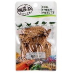 Świeże sterylizowane larwy drewnojada 20g