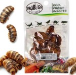  Świeże sterylizowane larwy jedwabnika 15g