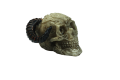 Mini czaszka z zawiniętymi rogami- ozdoba do terrarium dla mrówek.png