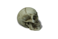 Trupia czaszka dekoracyjna gładka 5 cm.png