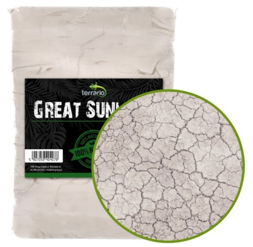 Biała glina do terrarium i formikarium do hodowli mrówek