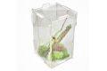 Modliszkarium z zielonym mchem- terrarium dla modliszek