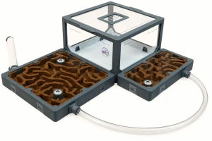Formikarium AntLove Korkowe – modułowy zestaw nr 7 do hodowli mrówek