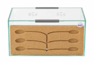Terrarium (formikarium) dla mrówek King Cork – gniazdo korkowe