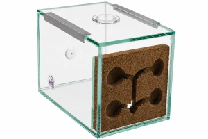 Formikarium Dream 15 *10*10