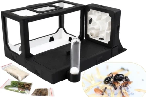 Formikarium BlackAnt 15 – zestaw do hodowli z mrówkami Messor barbarus
