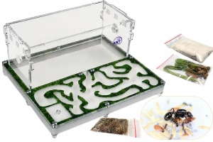 Zestaw startowy: Formikarium Green House II z mrówkami Messor barbarus pokrywa do wyboru