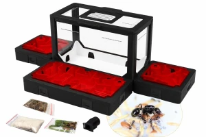 Formikarium BlackAnt 11 – zestaw do hodowli Messor barbarus z mrówkami