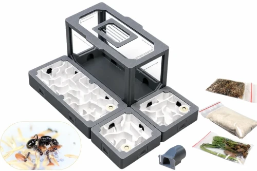 Formikarium modułowe AntLove nr 11 do hodowli mrówek- kompletny zestaw z mrówkami