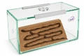 Formikarium korkowe Brand do hodowli mrówek w domu