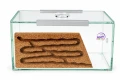 Formikarium korkowe Brand- widok z przodu formikarium