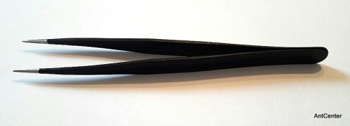 Pęseta polecana do hodowli mrówek