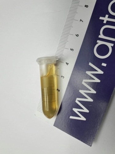 Miód 1,5 ml pokarm dla mrówek