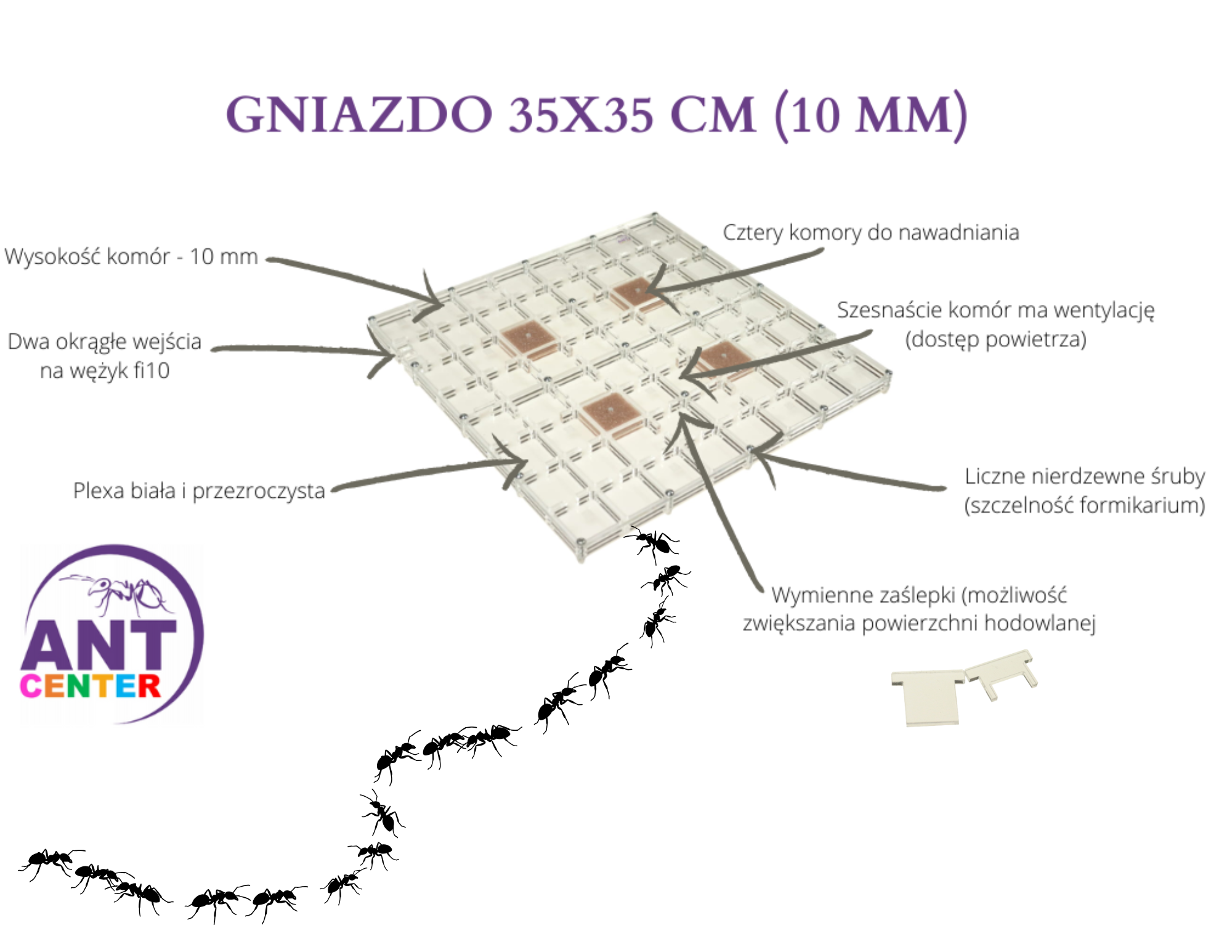 Gniazdo 35x35 cm od AntCenter- największe gniazdo akrylowe od AntCenter