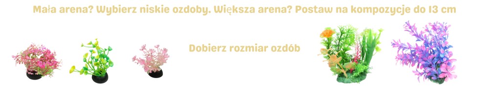 Jak dobrać rozmiar ozdób do formikarium i areny