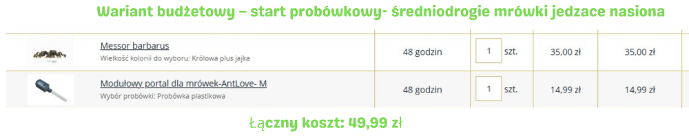 Koszt hodowli mrówek – minimalny start probówkowy Messor barbarus – 49,99 zł