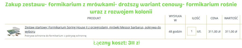 Koszt hodowli mrówek – rozbudowany system startowy – 311 zł