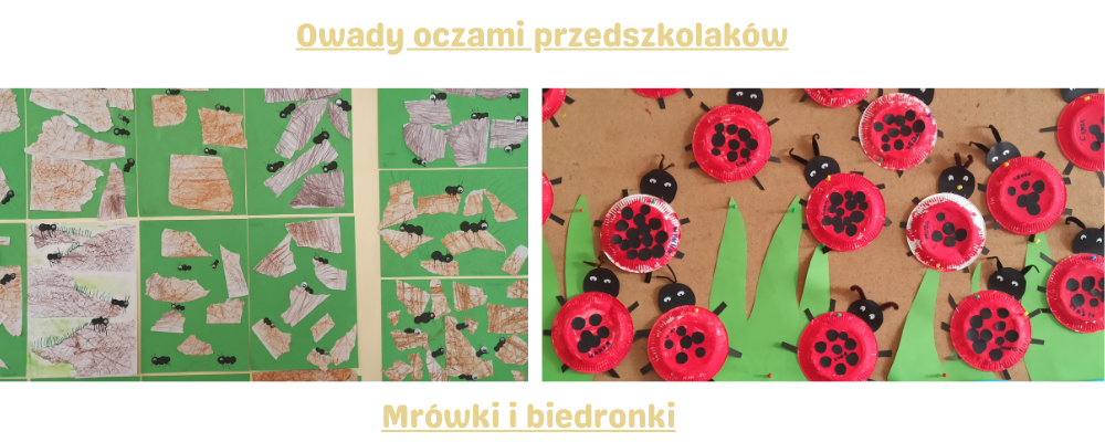 Mrówki i biedronki w pracach dzieci – efekt zajęć o owadach w przedszkolu.