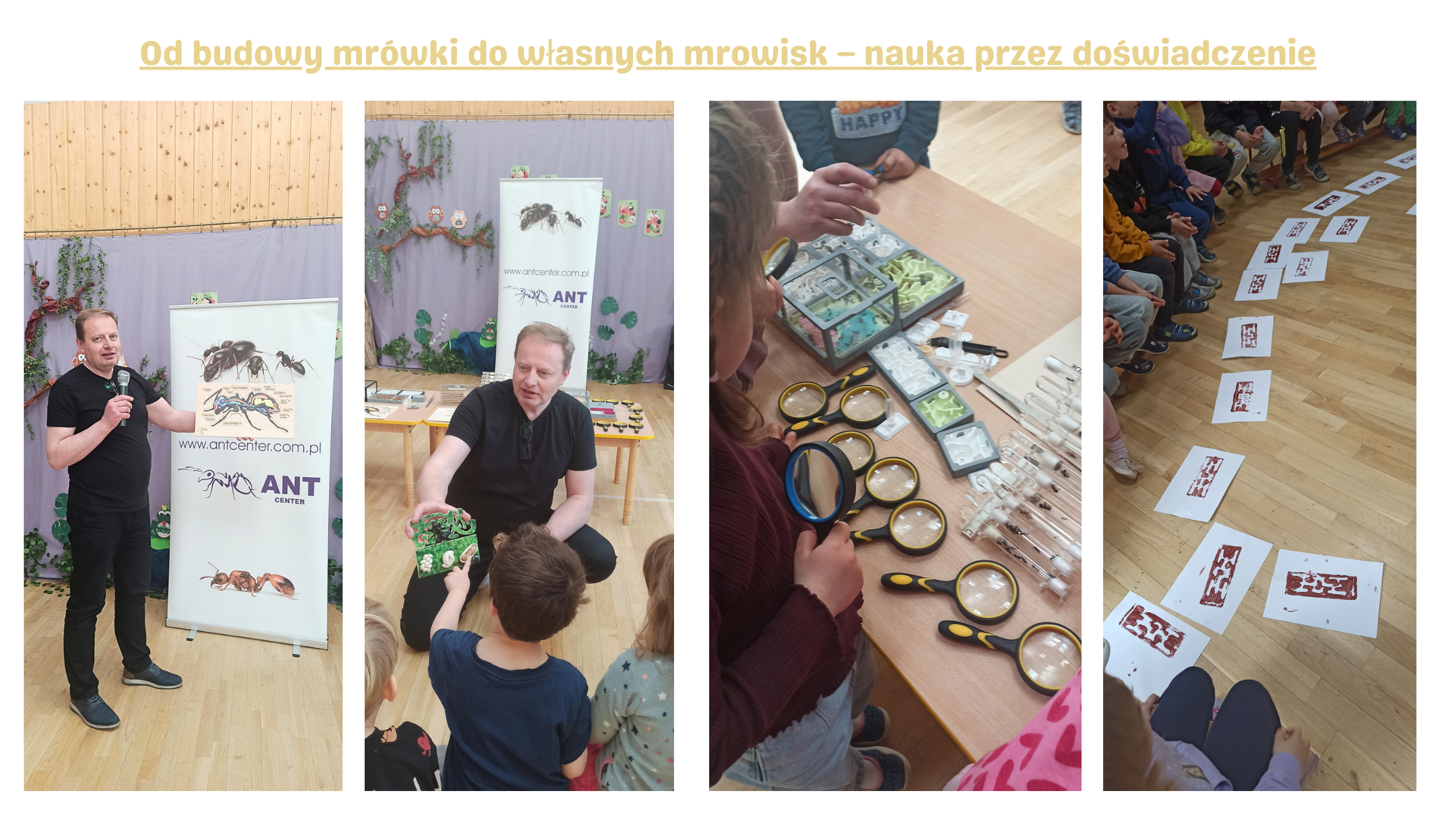 Od budowy mrówki do własnych mrowisk – nauka przez doświadczenie