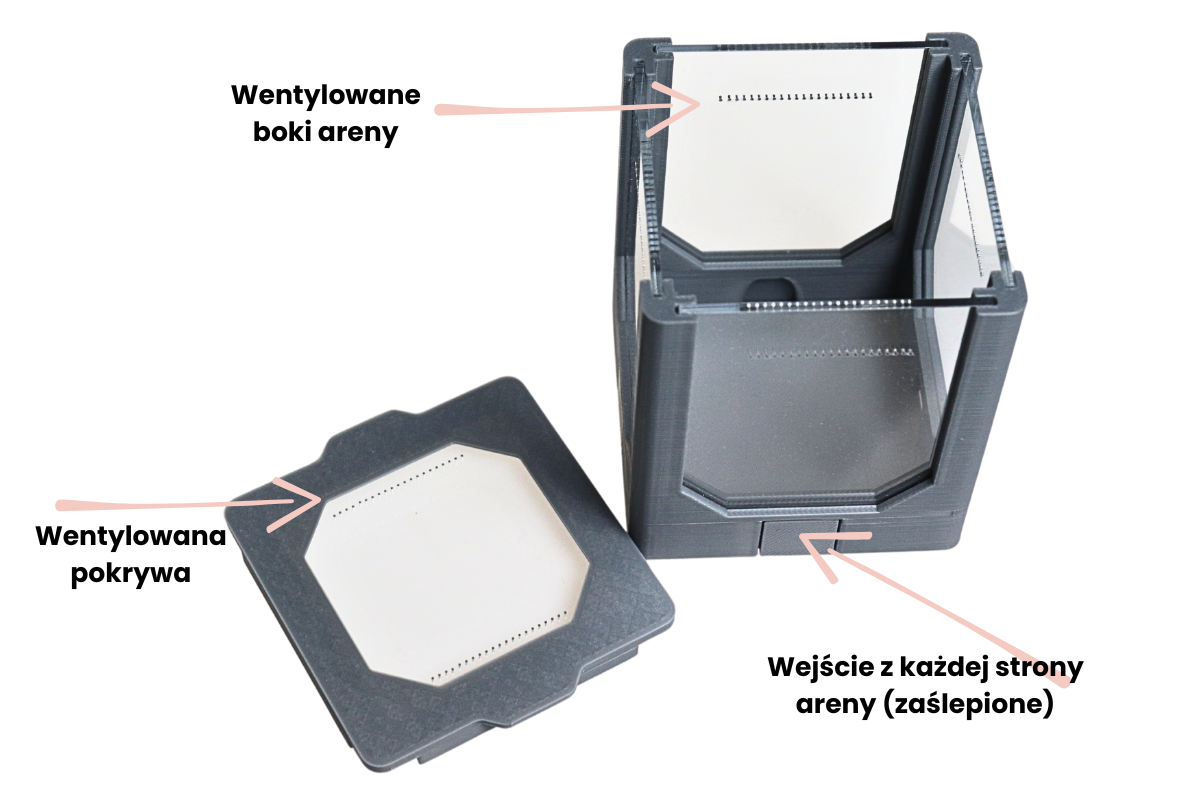 Arena S do hodowli mrówek w domu