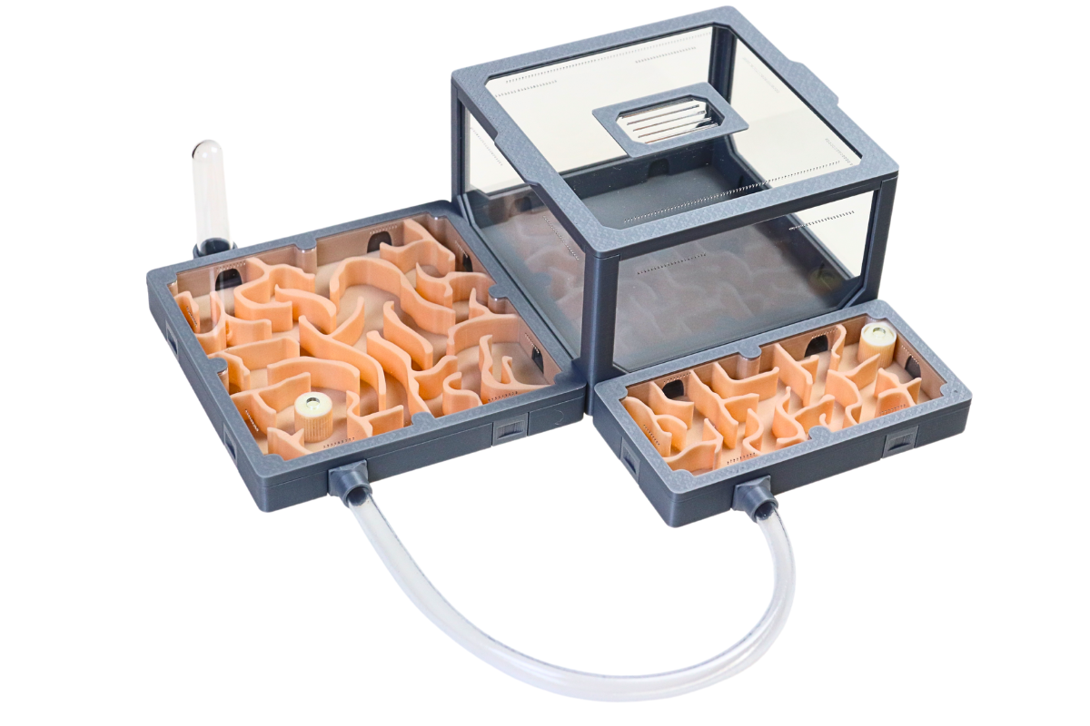 Zestaw Modułowe AntLove z wężykiem